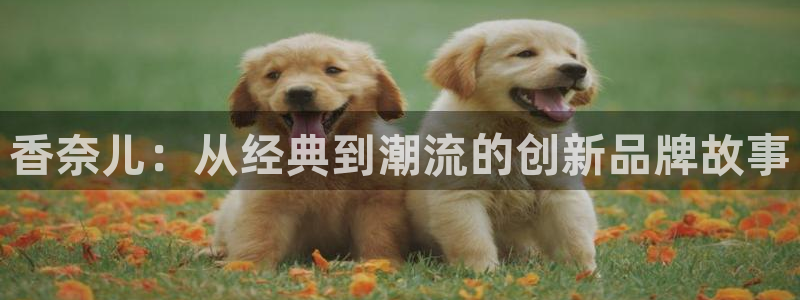 天宏娱乐董事长