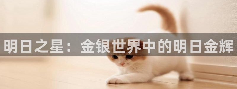 天宏娱乐学