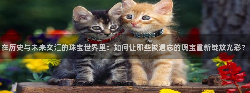 天宏娱乐直播间怎么进