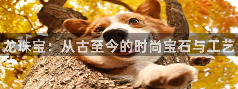 天宏娱乐开户