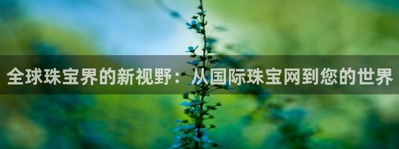 天宏娱乐关叔