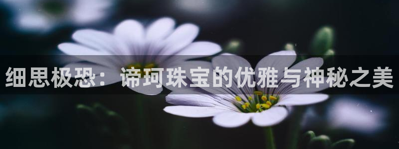 天宏娱乐招商部电话地址