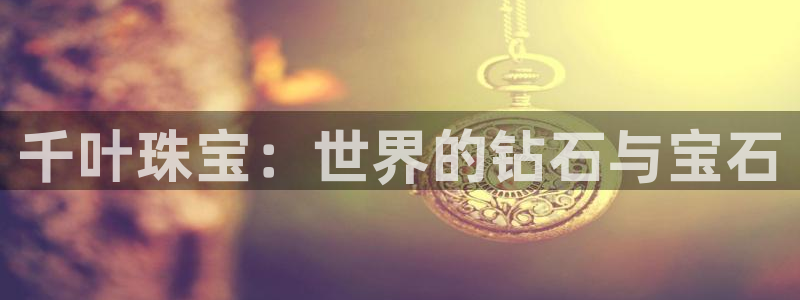 天宏娱乐小刘叔