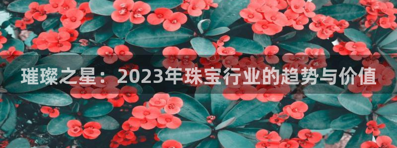 天宏娱乐app下载