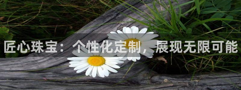天宏娱乐金大叔