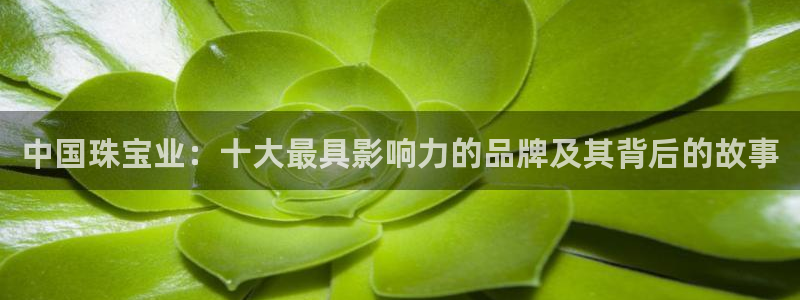 宏天娱乐会所