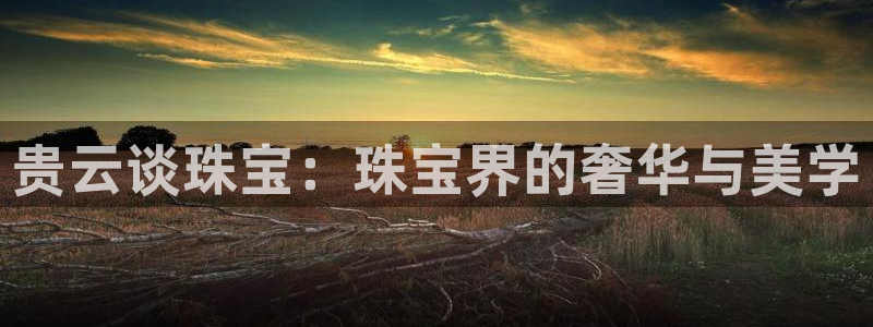 天宏娱乐是国企吗