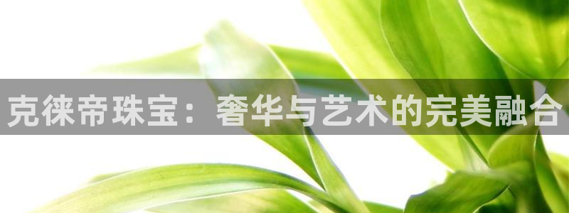 天宏娱乐直播是哪里的