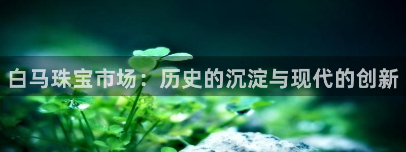 天宏娱乐赵叔