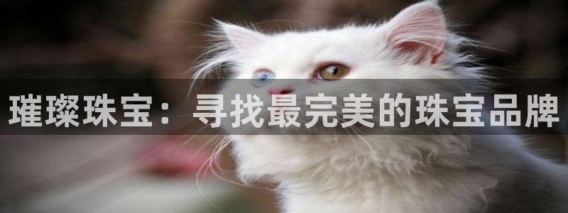 天宏娱乐平台稳么