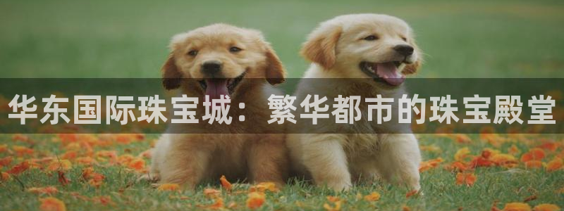 天宏娱乐实f力803466：华东国际珠宝城：繁华都市的珠宝殿