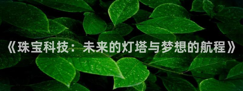 天宏娱乐总店电话多少