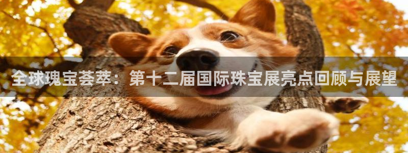天宏 娱乐属于什么平台