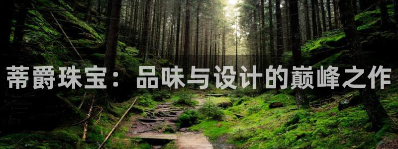 西安天宏娱乐老男孩：蒂爵珠宝：品味与设计的巅峰之作