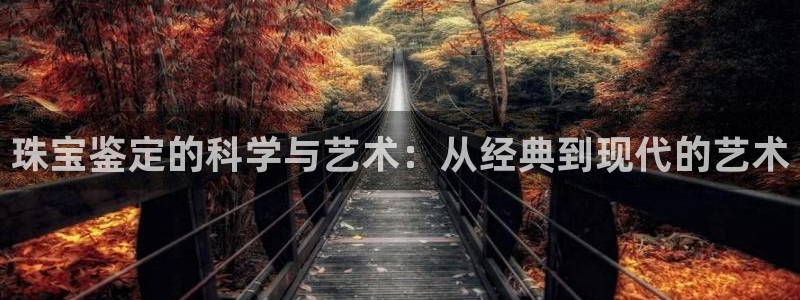 天宏娱乐季叔：珠宝鉴定的科学与艺术：从经典到现代的艺术