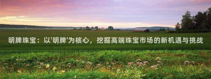 天宏娱乐老男孩董叔：明牌珠宝：以\'明牌\'为核心，挖掘高端