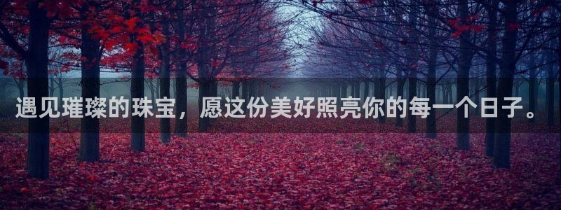 天宏娱乐秦叔的大哥