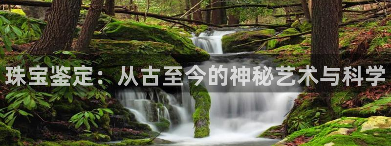 天亿娱乐宏发团队招聘