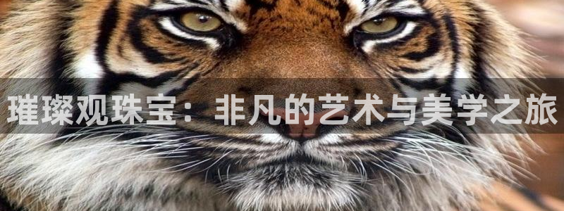 天宏娱乐网站彩票