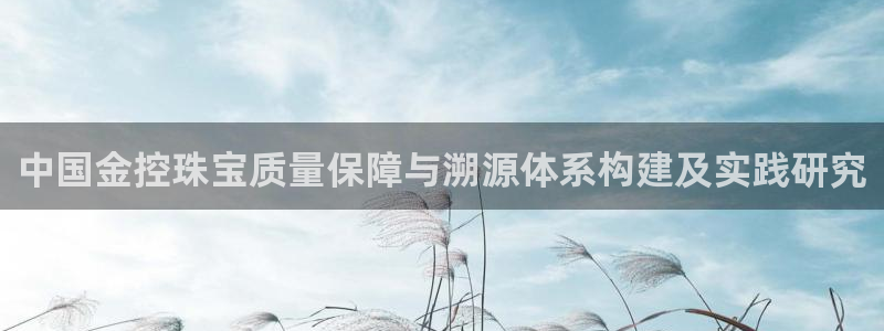 天宏娱乐董事长