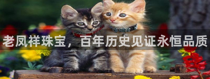 天宏娱乐大叔团队介绍图片