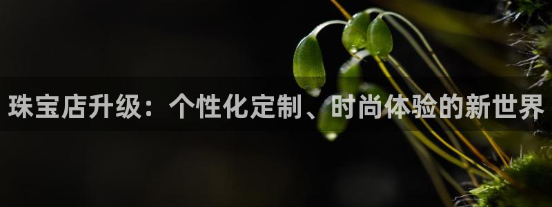 天宏娱乐天宏娱禾