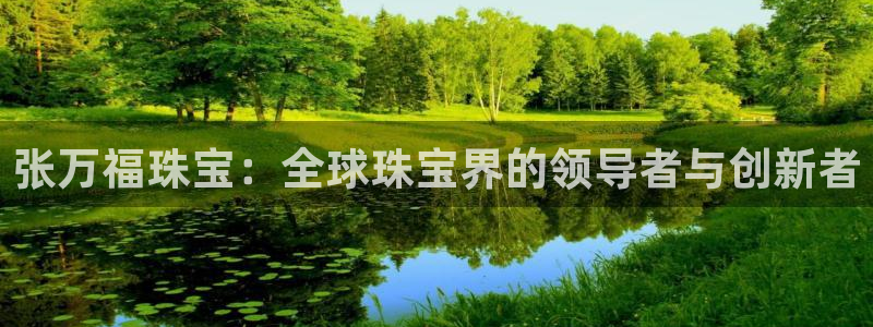 金叔直播天宏娱乐直播