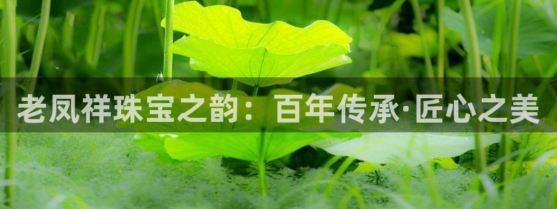 天宏娱乐倒闭了吗