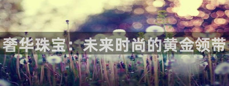 天宏娱乐直播团