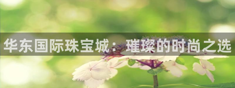 天宏娱乐星空：华东国际珠宝城：璀璨的时尚之选