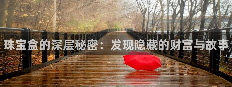 天宏娱乐老韩:珠宝盒的深层秘密:发现隐藏的财富与故事