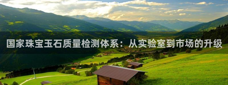 天宏娱乐张叔:国家珠宝玉石质量检测体系:从实验室到市场的升级