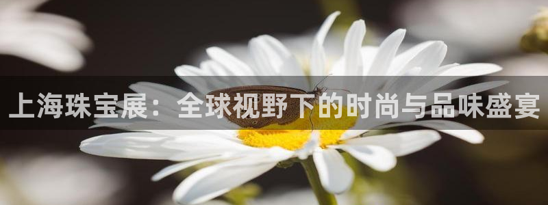 天宏娱乐家
