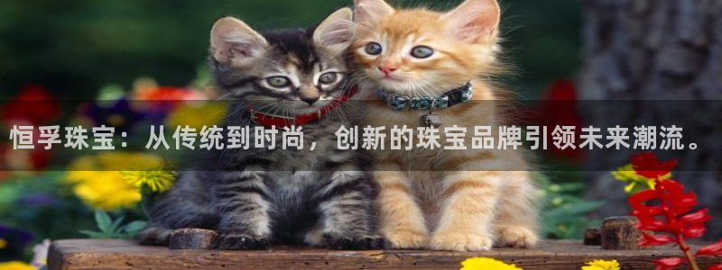 天宏娱乐会所电话