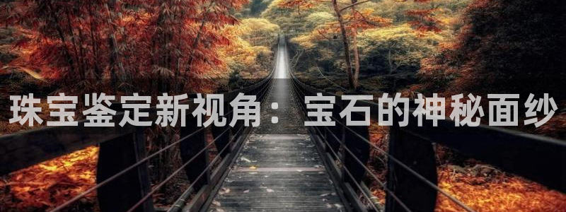 天宏娱乐金大叔