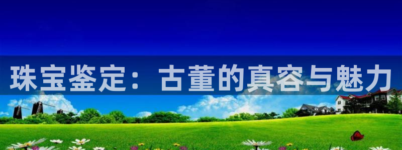 天宏娱乐是什么