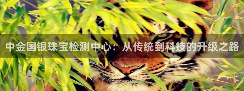 天宏娱乐提现不了