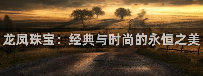 临沂天宏娱乐会所电话地址：龙凤珠宝：经典与时尚的永恒之美