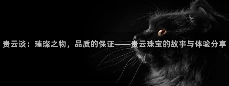 天宏娱乐直播在线观看高清