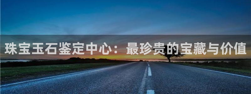 天宏娱乐公会：珠宝玉石鉴定中心：最珍贵的宝藏与价值
