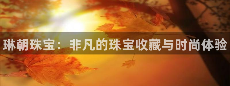 天宏娱乐吴叔抖音：琳朝珠宝：非凡的珠宝收藏与时尚体验