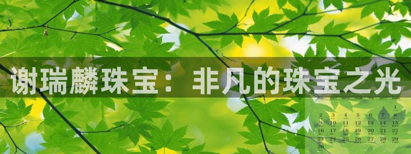 天宏娱乐32937股东