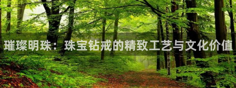 天宏娱乐app平台怎么下载