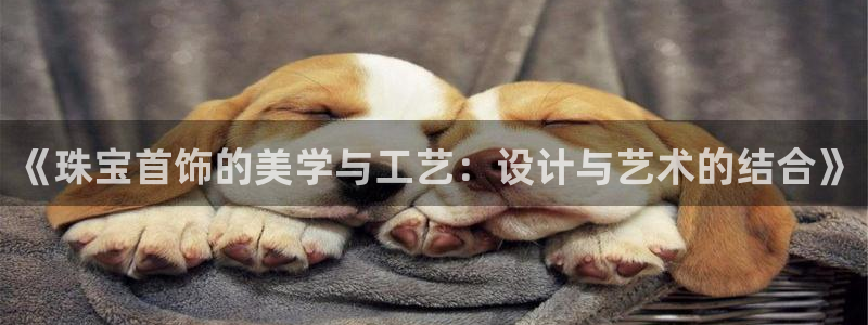 天宏娱乐 92229实c力