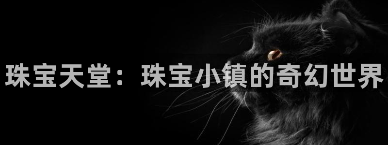 天宏娱乐金大叔