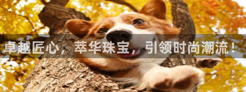 天宏娱乐抖音团播