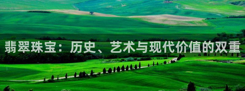 天宏娱乐金大叔