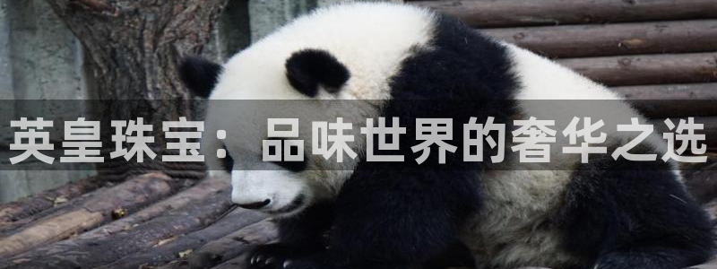 西安天宏娱乐团在哪