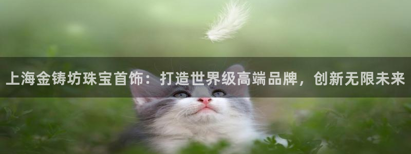 天宏娱乐是干嘛的