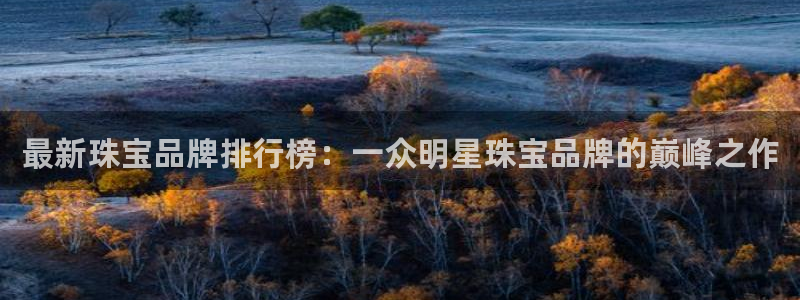 天宏娱乐大叔团队介绍视频